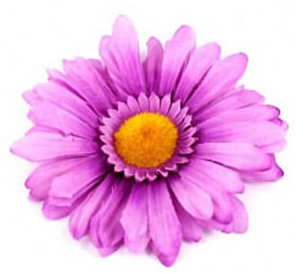 Изображение Заколка - цветок для волос (сиреневая ромашка)