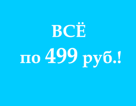 Изображение для категории Все по 499 руб.