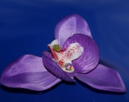 Изображение Орхидея на зажиме (сиреневый)