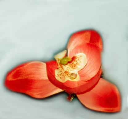 Изображение Орхидея на зажиме (коралловый)