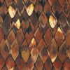 Изображение Блузка «Жар-птица», цвет коричневый